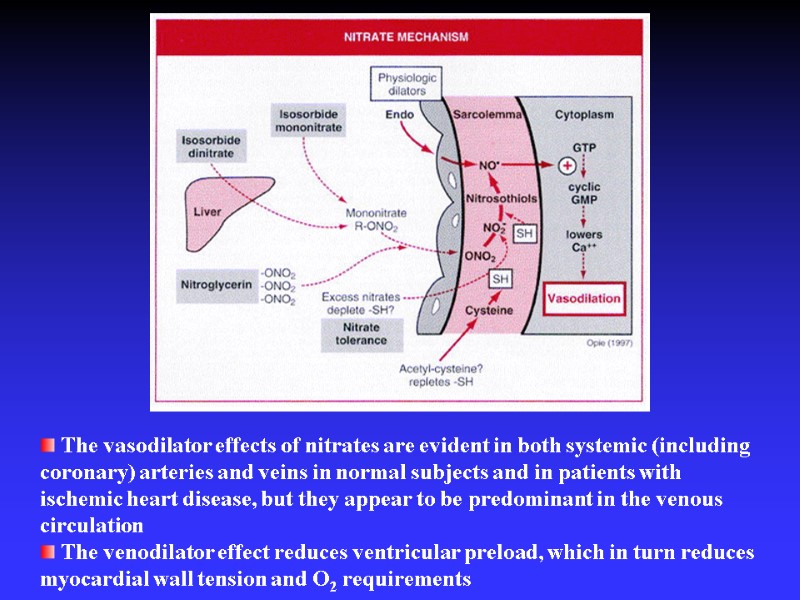 The vasodilator effects of nitrates are evident in both systemic (including coronary) arteries and
